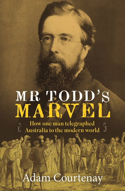 Mr Todd's Marvel (PB) cover