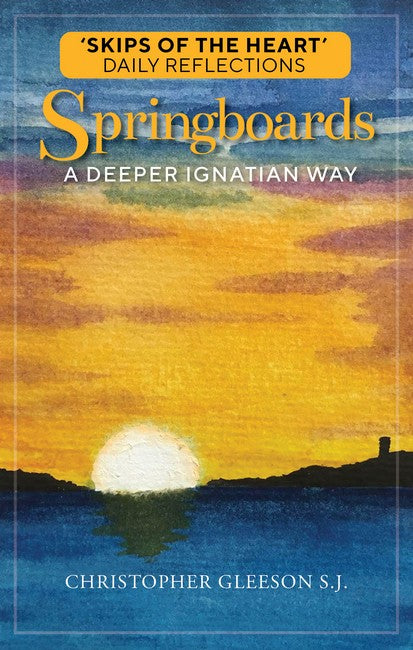 Springboards cover