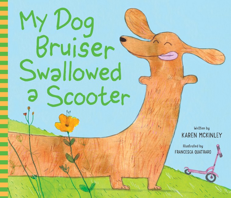 My Dog Bruiser Swallowed a Scooter (PB) cover