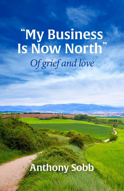 My Business is Now North cover