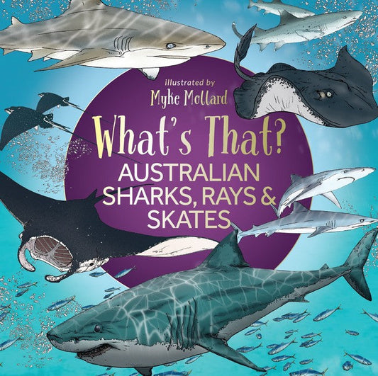 What's That? Australian Sharks, Rays & Skates cover