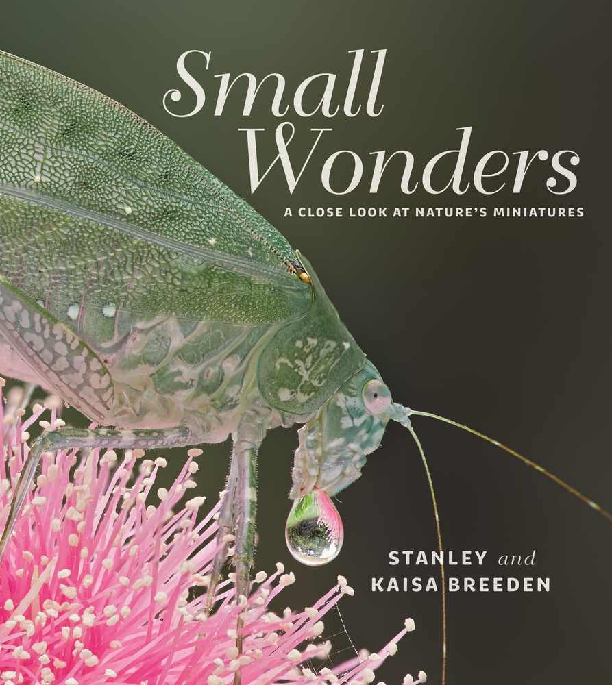 Small Wonders book cover