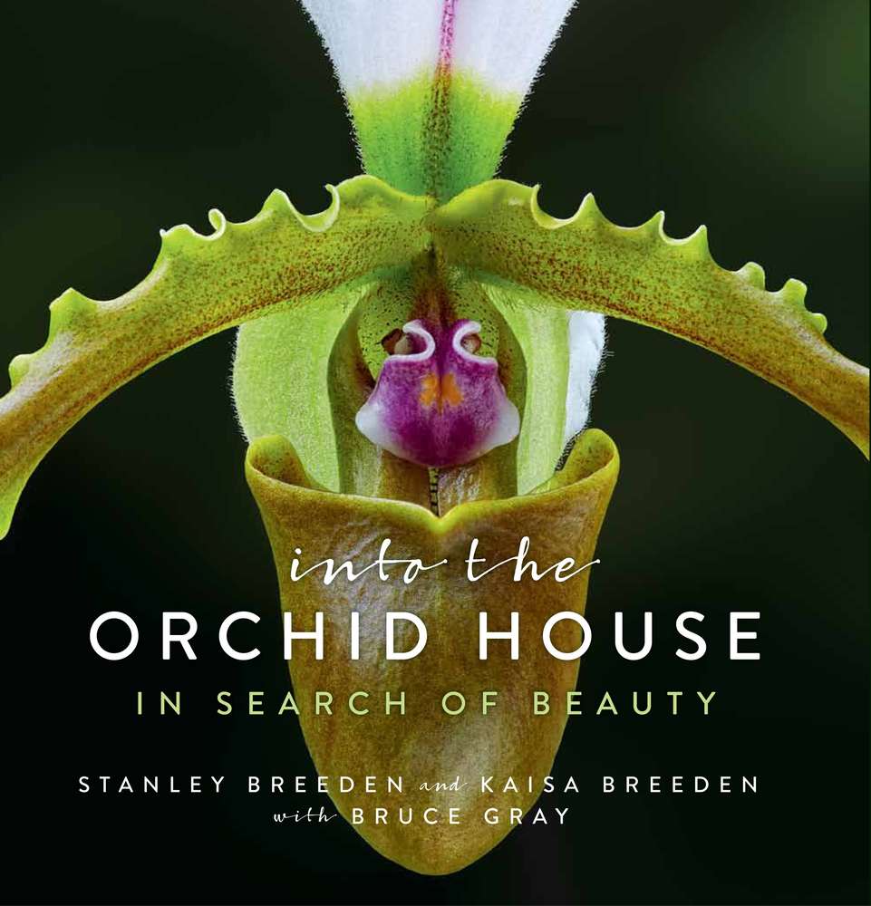 Into the Orchid House: In Search of Beauty book cover