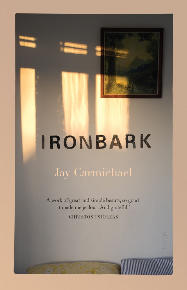 Ironbark book cover