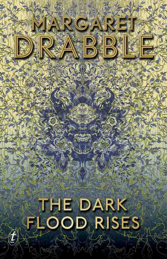The Dark Flood Rises book cover