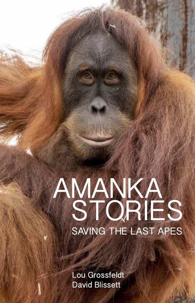 Amanka Stories: Saving the Last Apes book cover