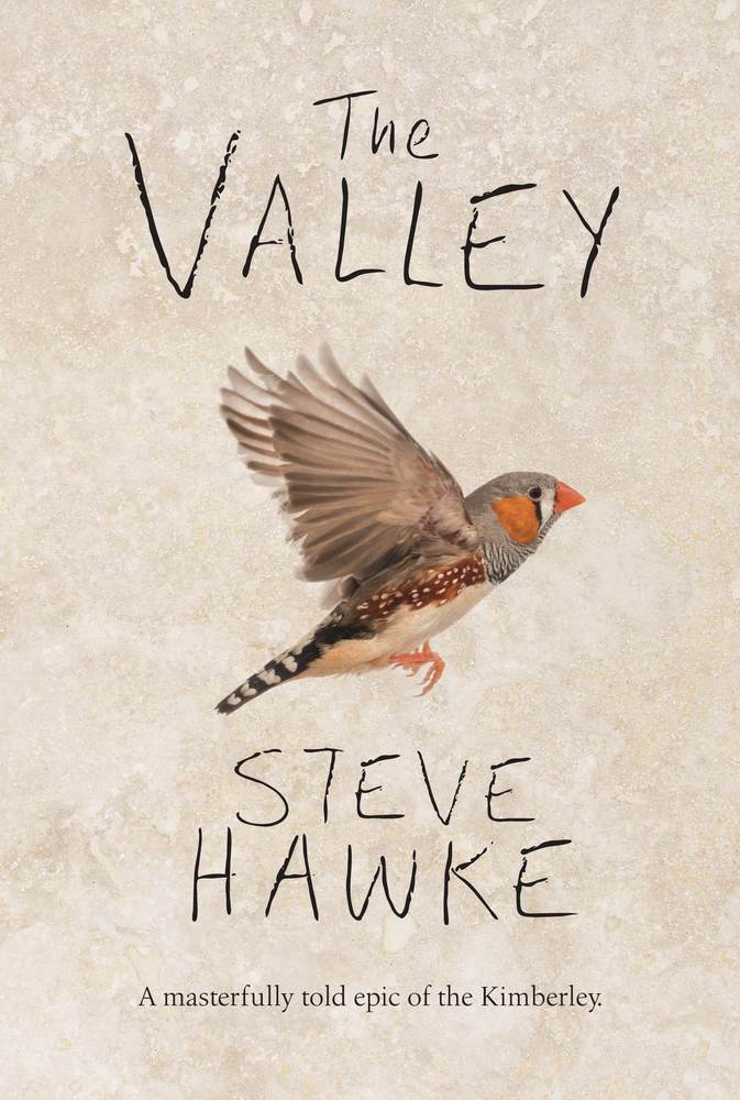 The Valley book cover