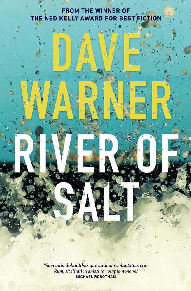 River of Salt book cover