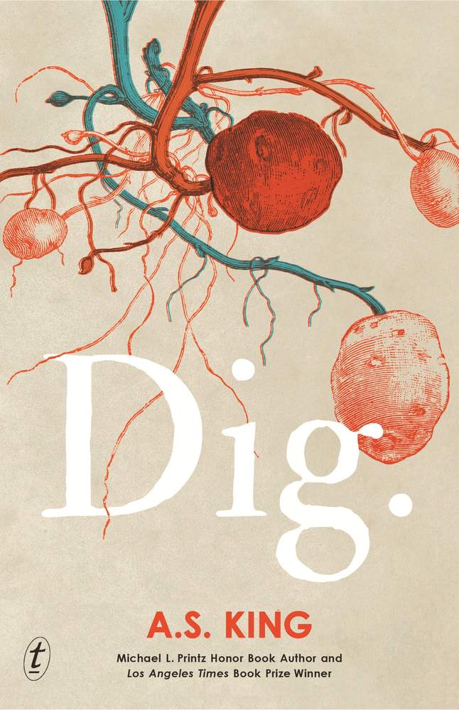 Dig book cover