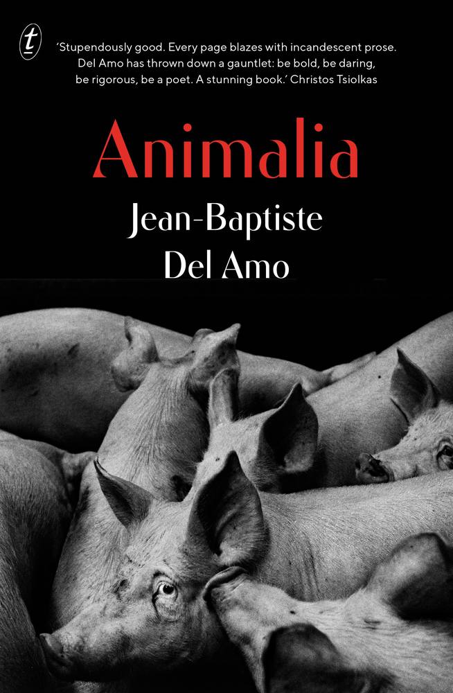 Animalia book cover