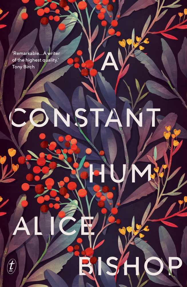 A Constant Hum book cover