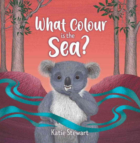What Colour is the Sea? book cover