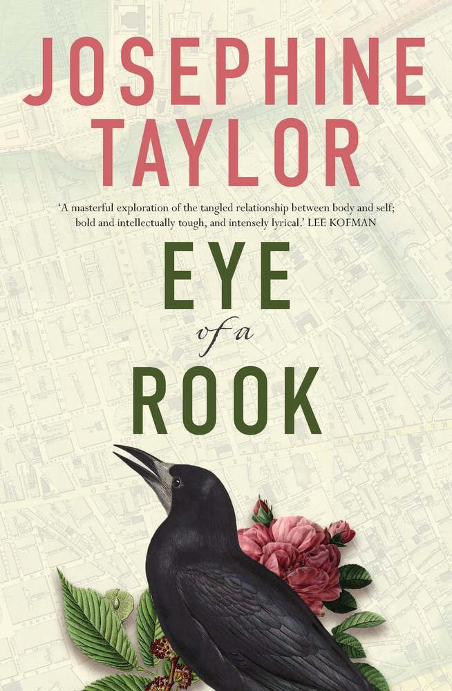 Eye of a Rook book cover