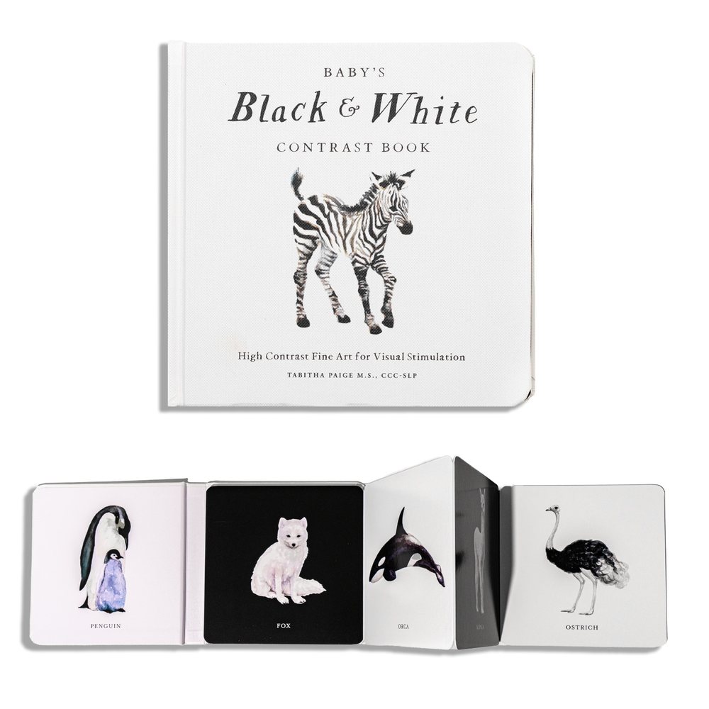 Baby's Black and White Contrast Book book cover