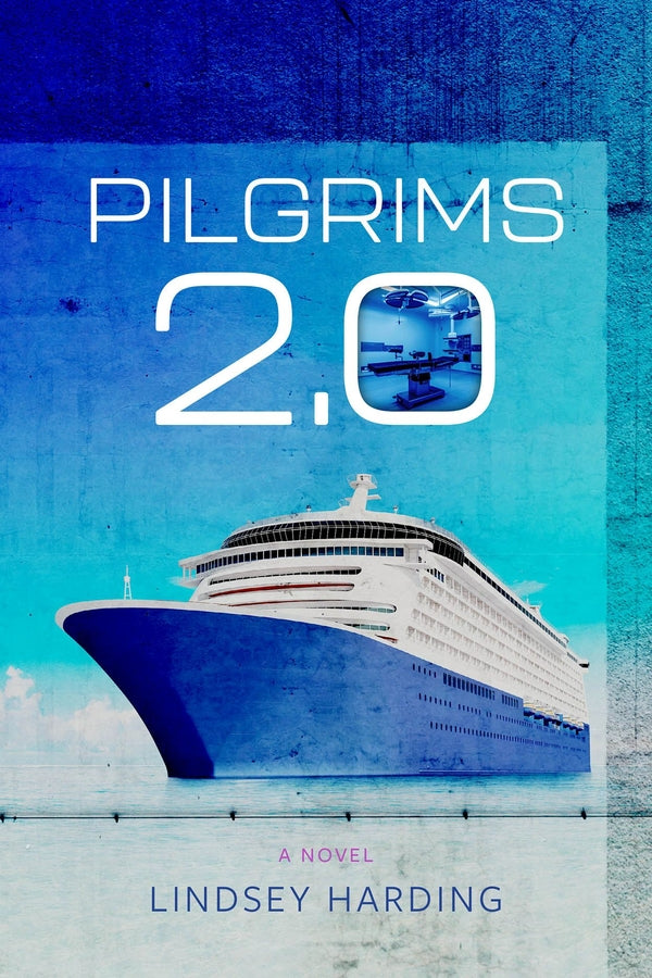 Pilgrims 2.0: A Novel cover