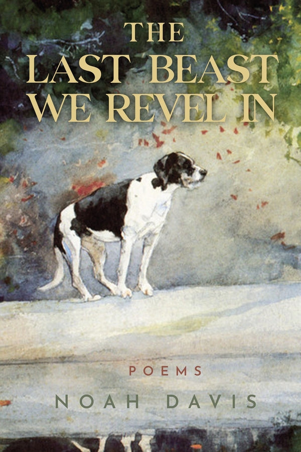 Emerging Voices cover