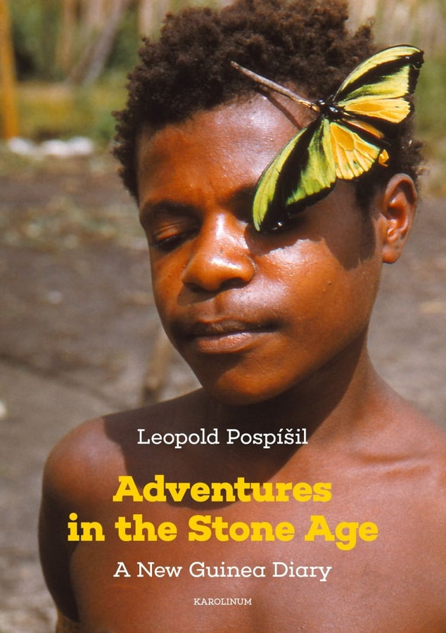 Adventures in the Stone Age: A New Guinea Diary cover