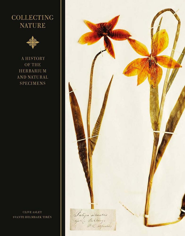 Collecting nature: A History of the Herbarium and Natural Specimens cover