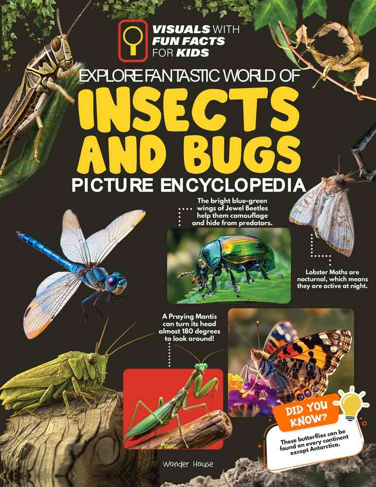 Explore Fantastic World of Insects And Bugs Picture Encyclopedia book cover