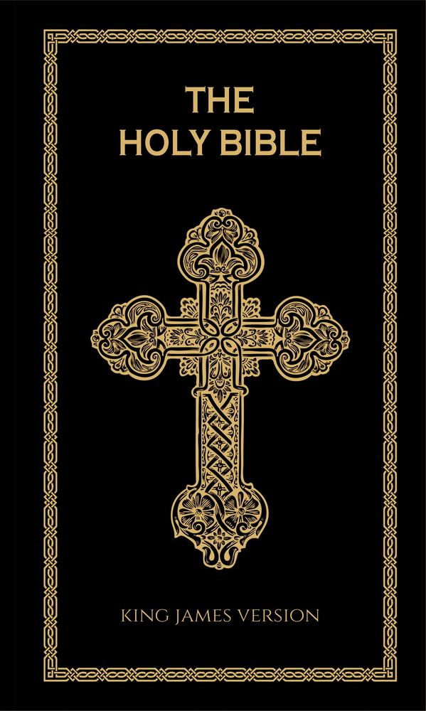 The Holy Bible (Deluxe Hardbound Edition) book cover