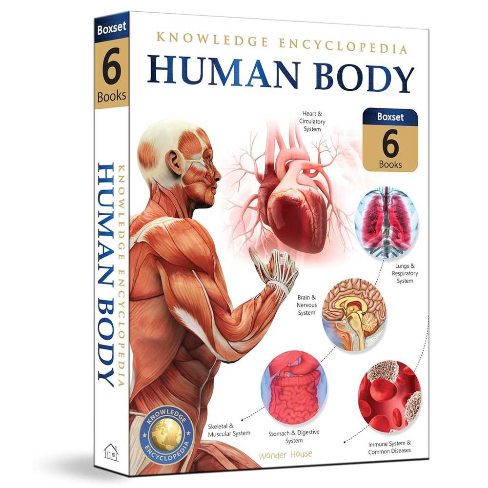 Human Body Box Set book cover