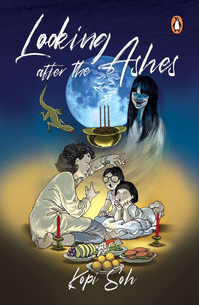 Looking  After The Ashes book cover