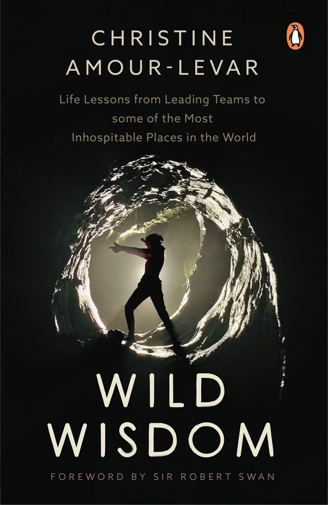 Wild Wisdom book cover