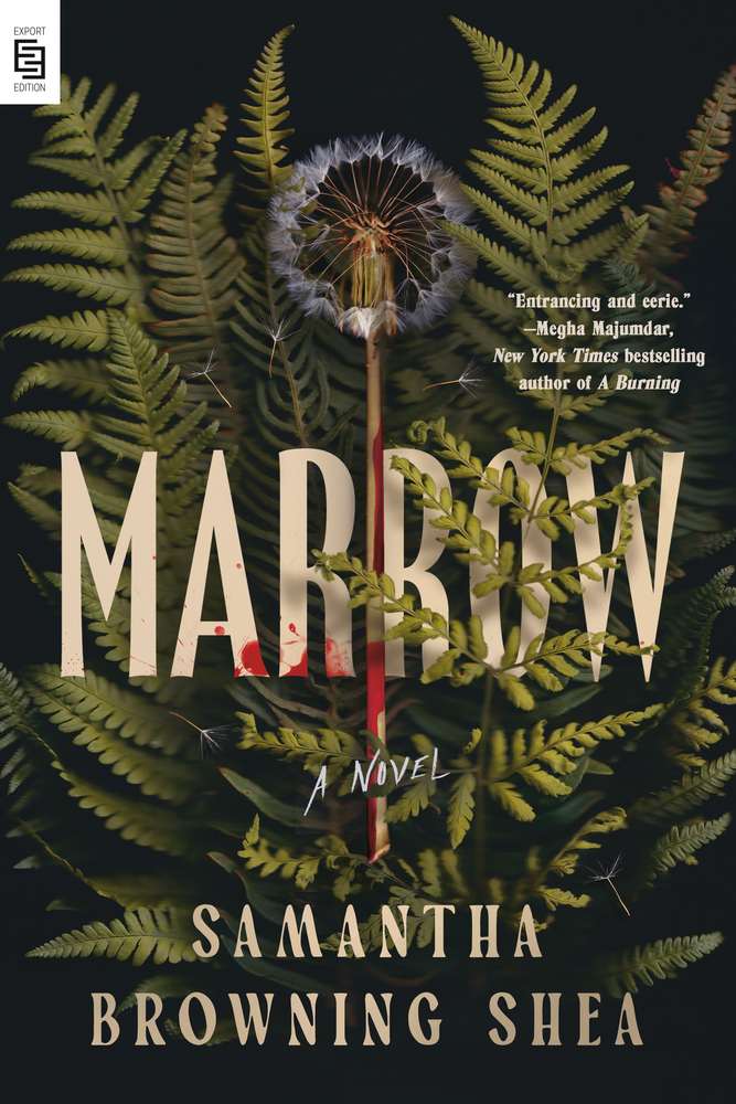 Marrow book cover