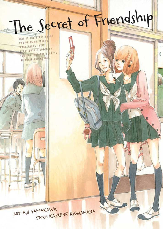 The Secret of Friendship book cover